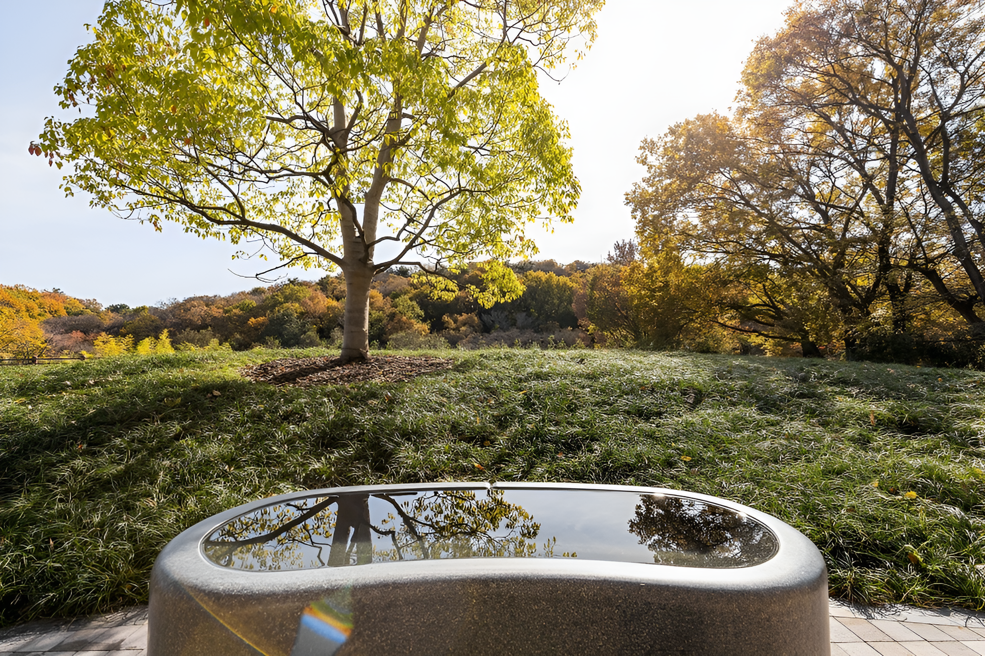 狭山十轮灵堂丨日本埼玉丨中村拓志-14