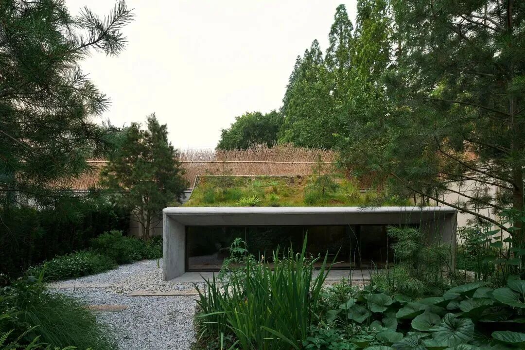 林间茶室丨中国上海丨空间里建筑设计事务所-6