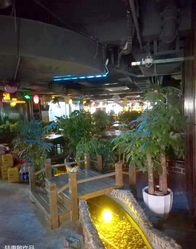 
大牧飞沙，环岛纯绿色植物1000平饭店设… -1