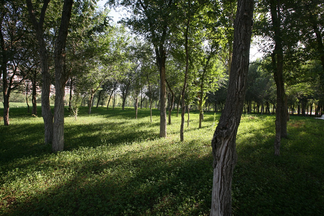 新疆博乐人民公园改造-67