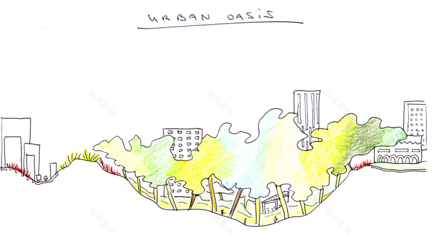 城市绿洲 · Ras Al Khaimah 公园的有机设计-2
