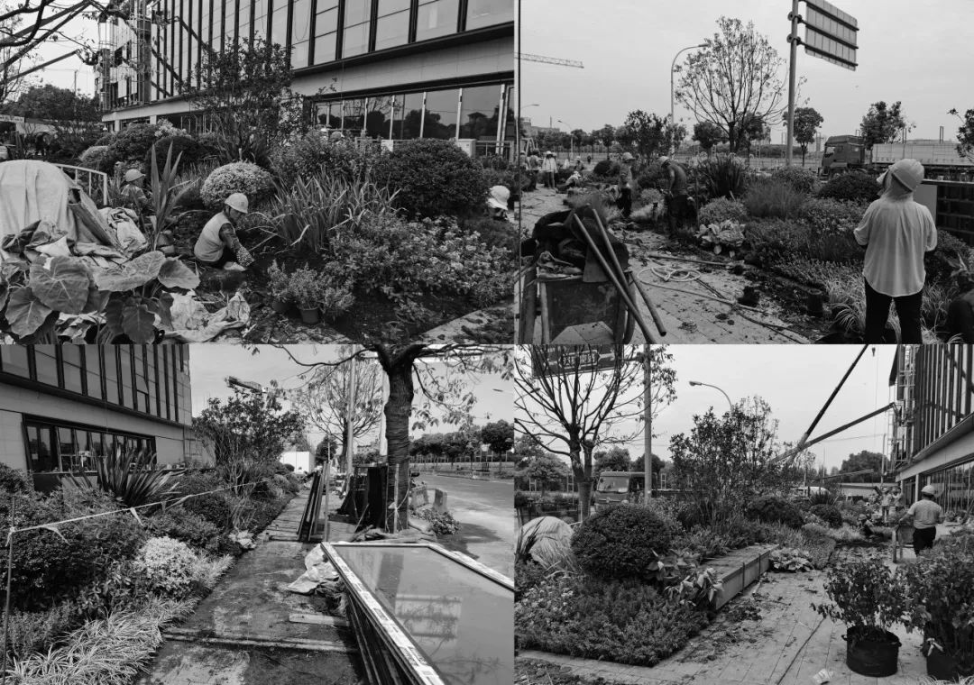 重新组合自然美 · 植物设计浅谈丨中国南京-54