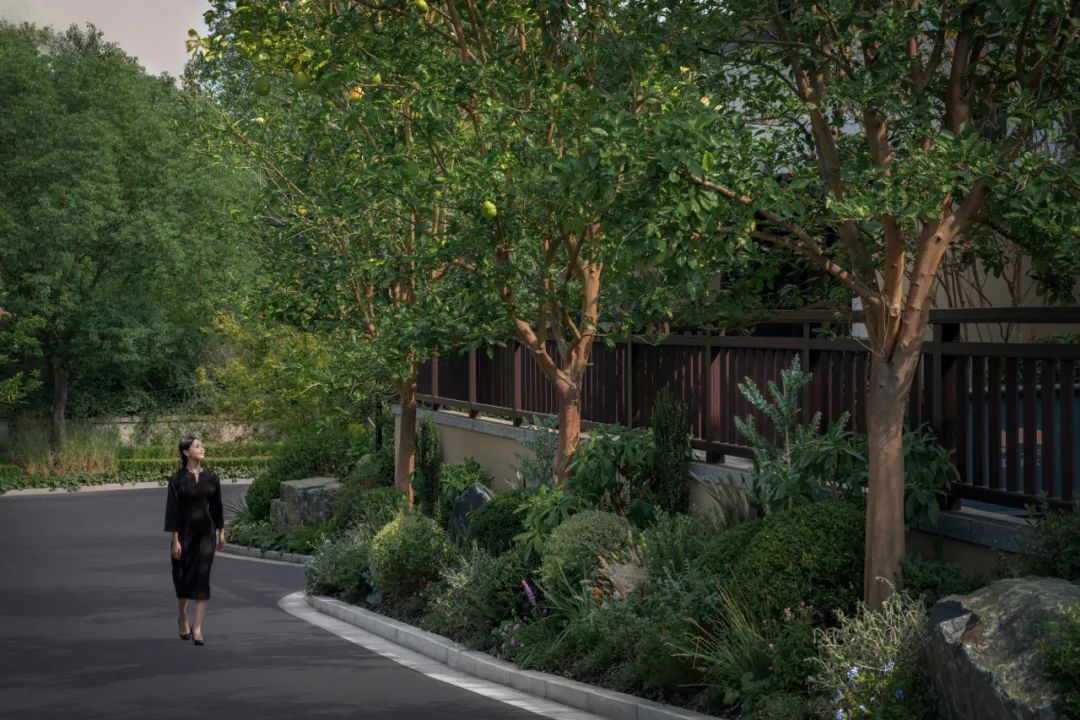 城市“兴交付”Vol.43｜交付杭州的诗意@公望-23