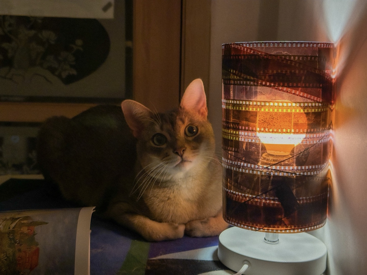 点亮我；点燃我（具体意思需结合语境确定，这里按常见理解给出） -7