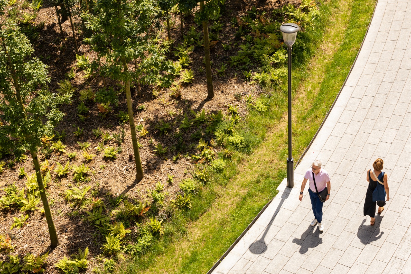 巴黎加泰罗尼亚广场城市森林改造项目丨法国巴黎-40
