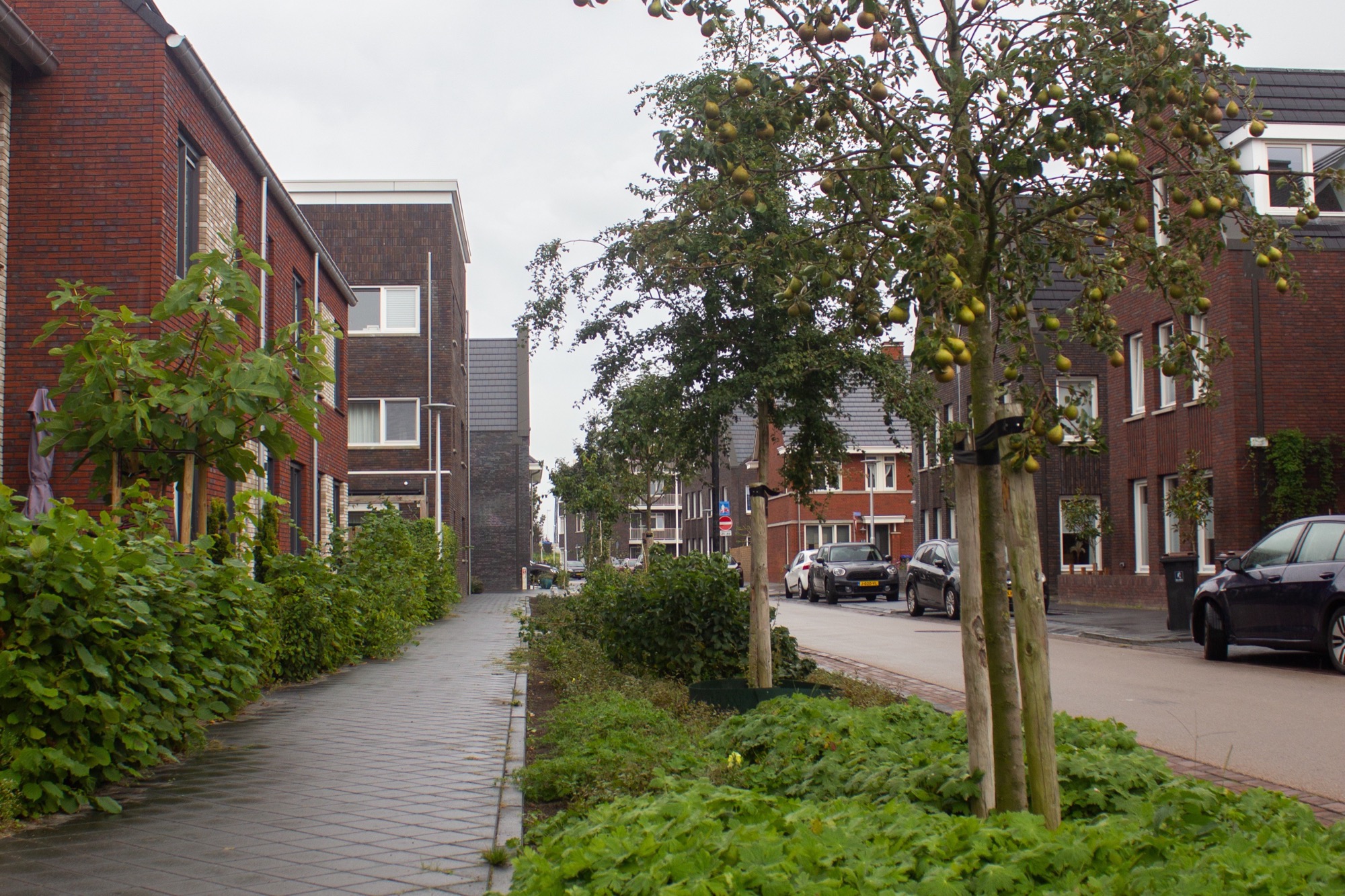 荷兰 Rijnvliet 可食社区丨荷兰乌得勒支-12