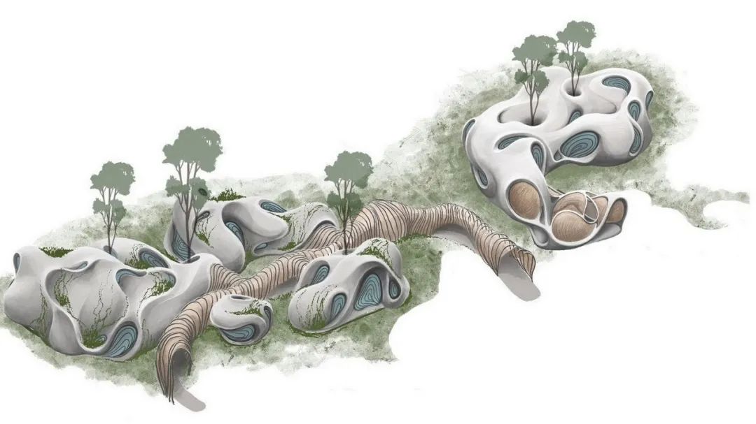 “昆虫翼”办公室 Fab Lab丨墨西哥丨Roth Architecture-16