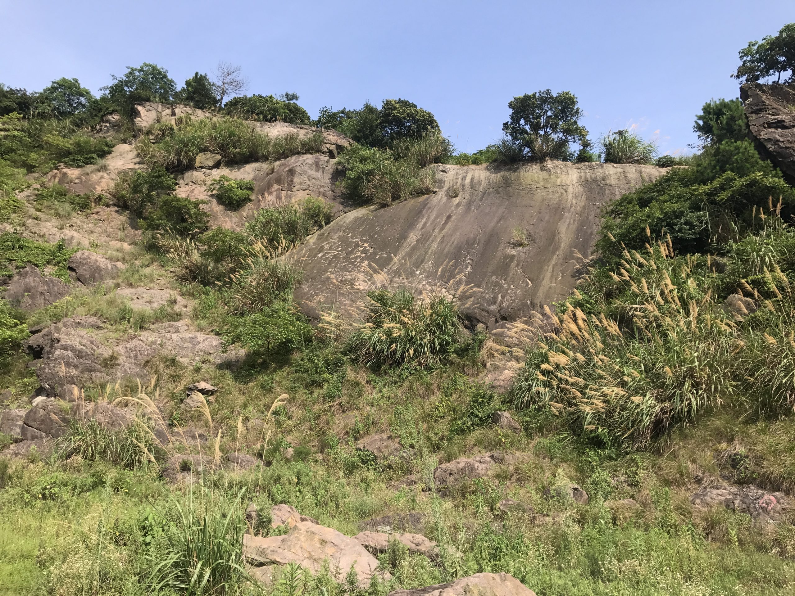 宁波滨海华侨城示范区延伸段丨中国宁波丨启迪设计-24