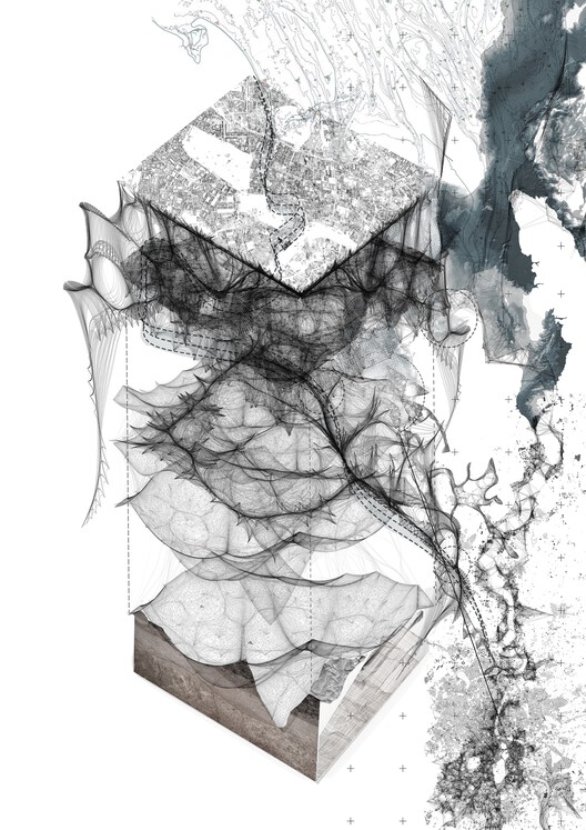 景观建筑与防洪的完美结合丨英国伦敦丨达夫妮·菲利普-6