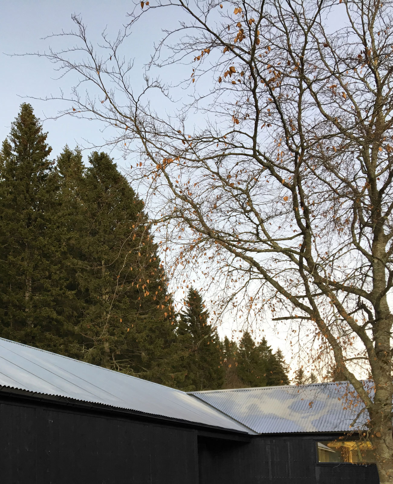 T 之家丨挪威丨Sanden+Hodnekvam Architects-23