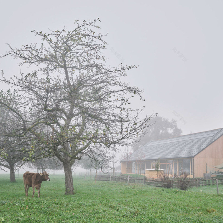 奥地利 Rheinhof 农场幼儿园丨MWArchitekten-5