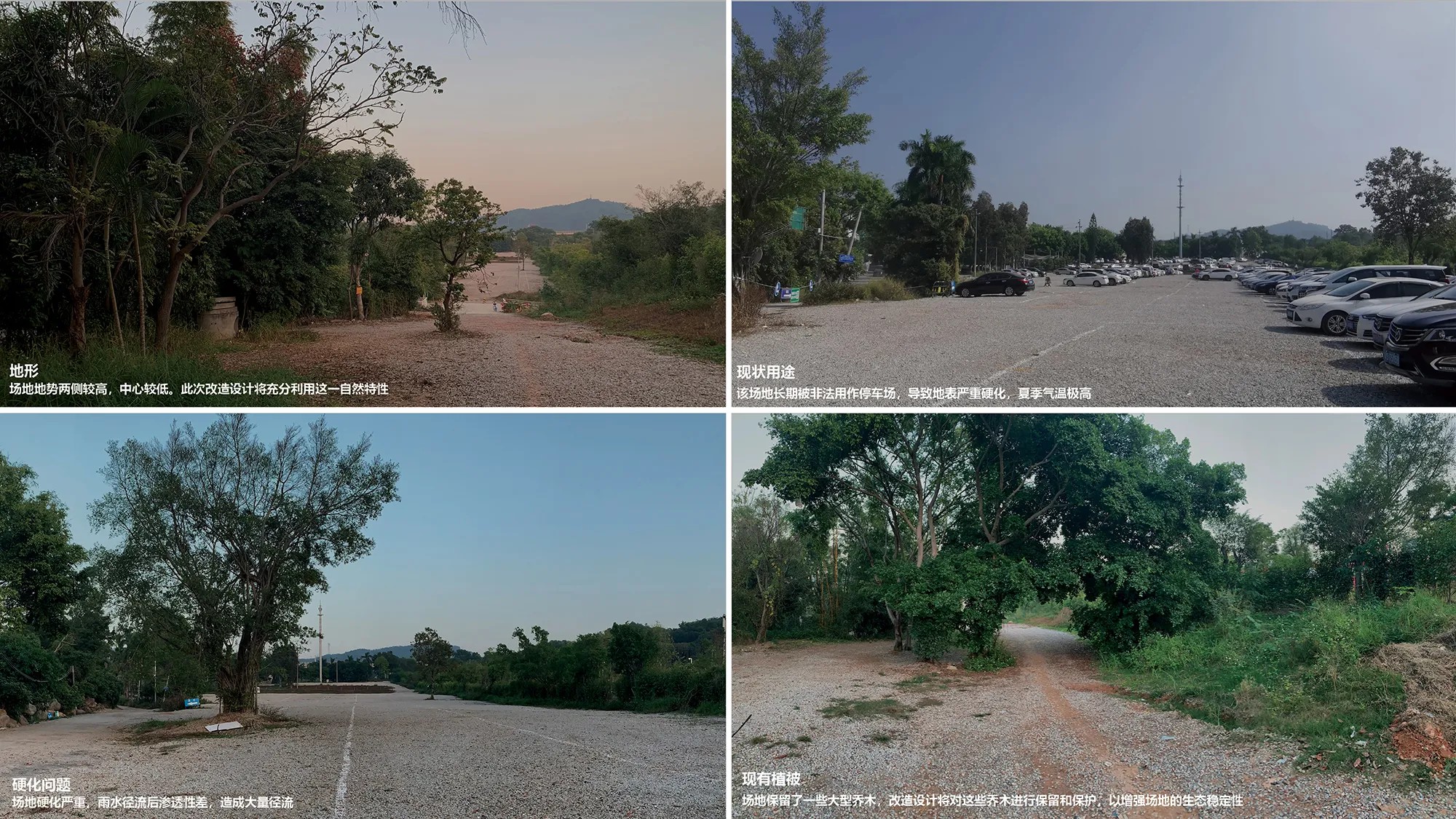 深圳光明虹桥1958生态公园丨中国深圳-35