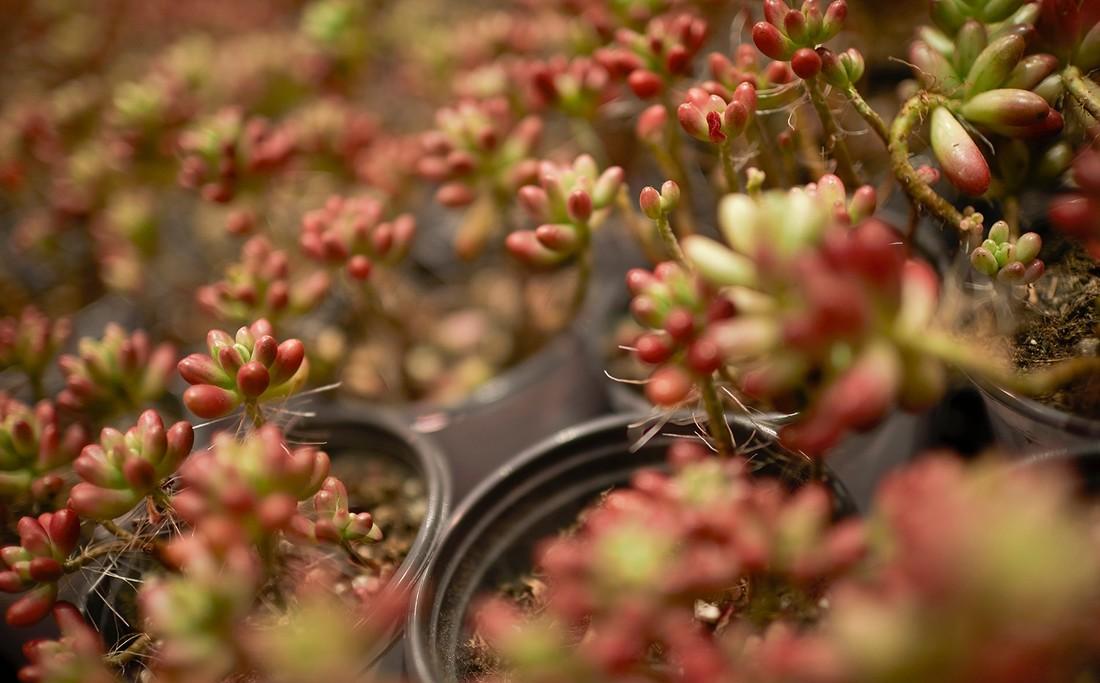 鹿岛生活丨集嘉设计-54