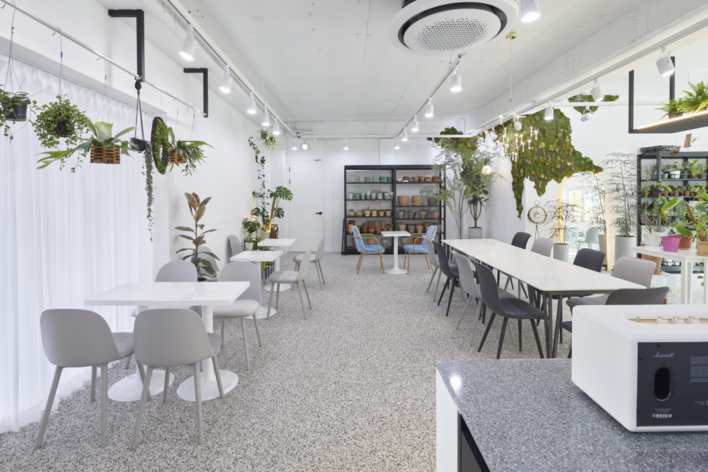 现代植物咖啡厅，30 平米空间里的绿色美学-8