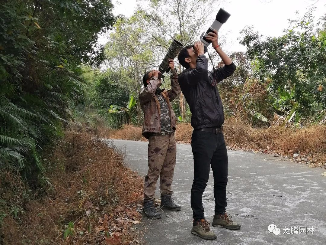 行走的茏腾人 | 象头山自然之美-24