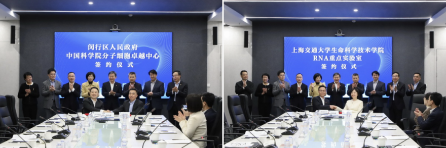 一个园区,如何成为片区跃升的支点?-35