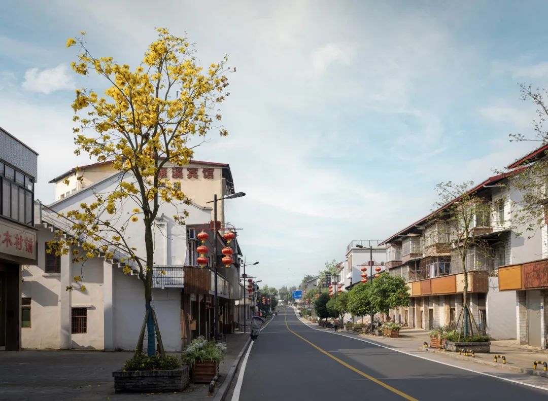 美丽宜居示范乡镇“花乡雍溪”提升规划设计丨中国重庆丨重庆道合园林景观规划设计有限公司-103