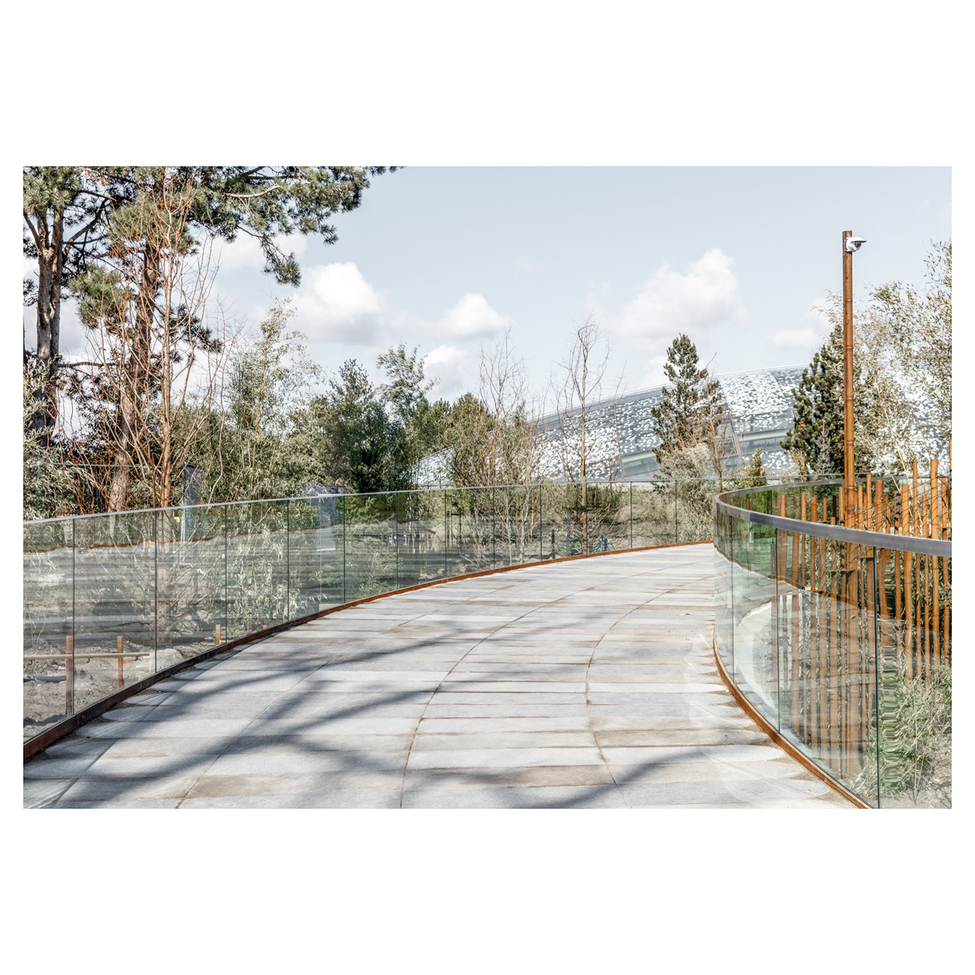 Anastasiya Gushchina丨公园丨P A N D A H O U S E-2