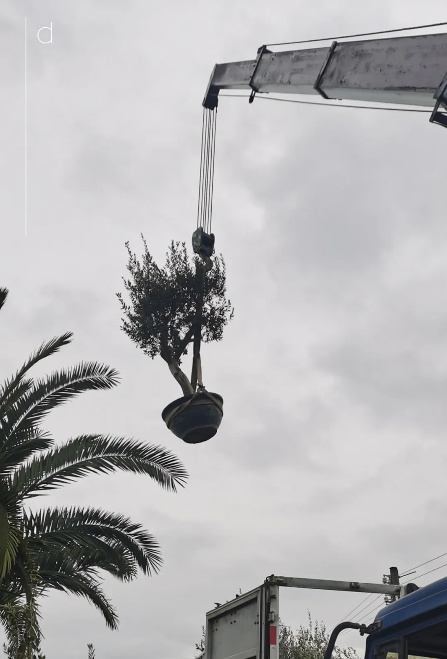 北京 gaga 空中花园餐厅丨中国北京丨dongqi Design 栋栖设计-9