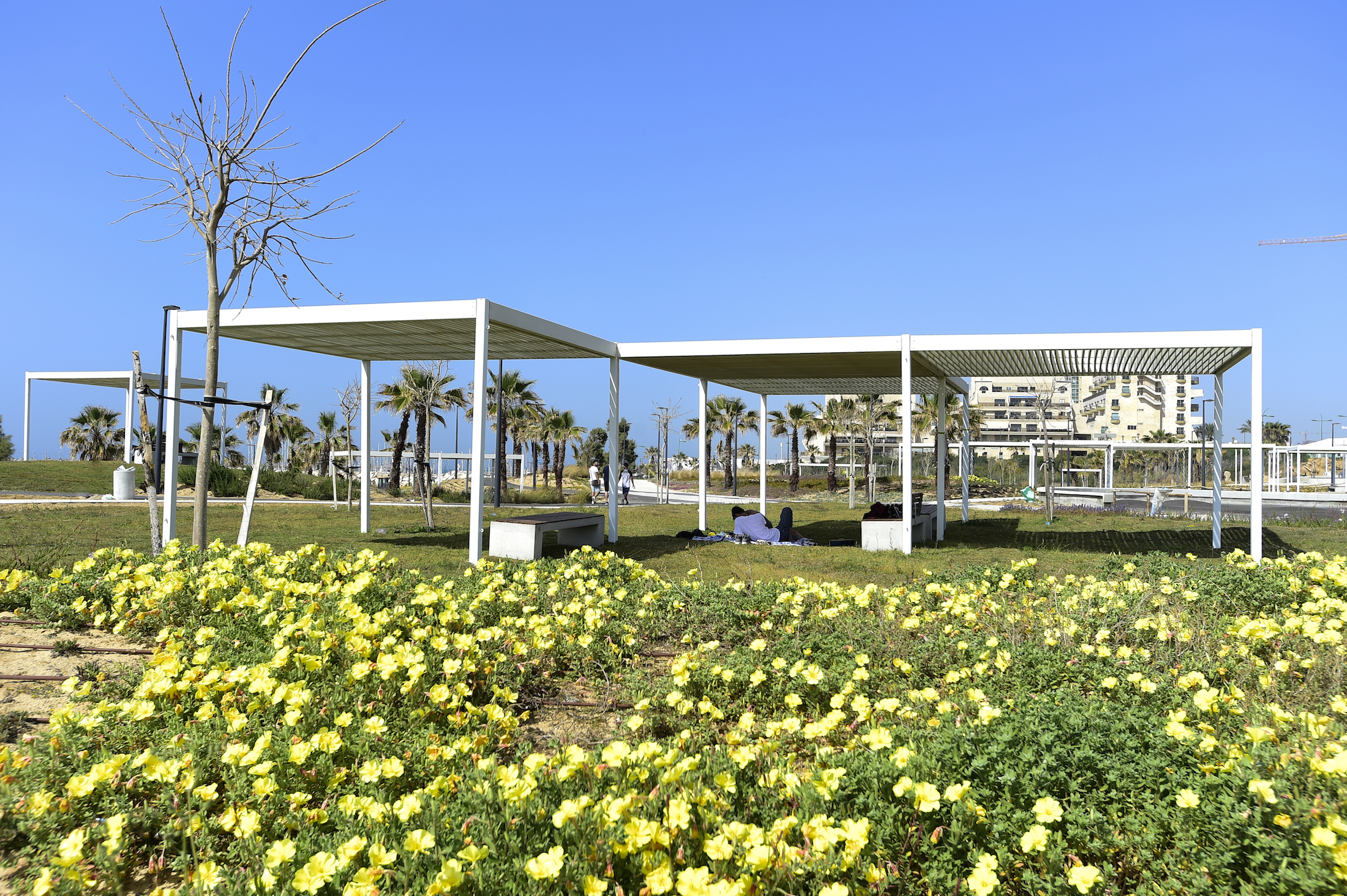 阿什克伦海洋公园 / Mayslits Kassif Roytman Architects-25