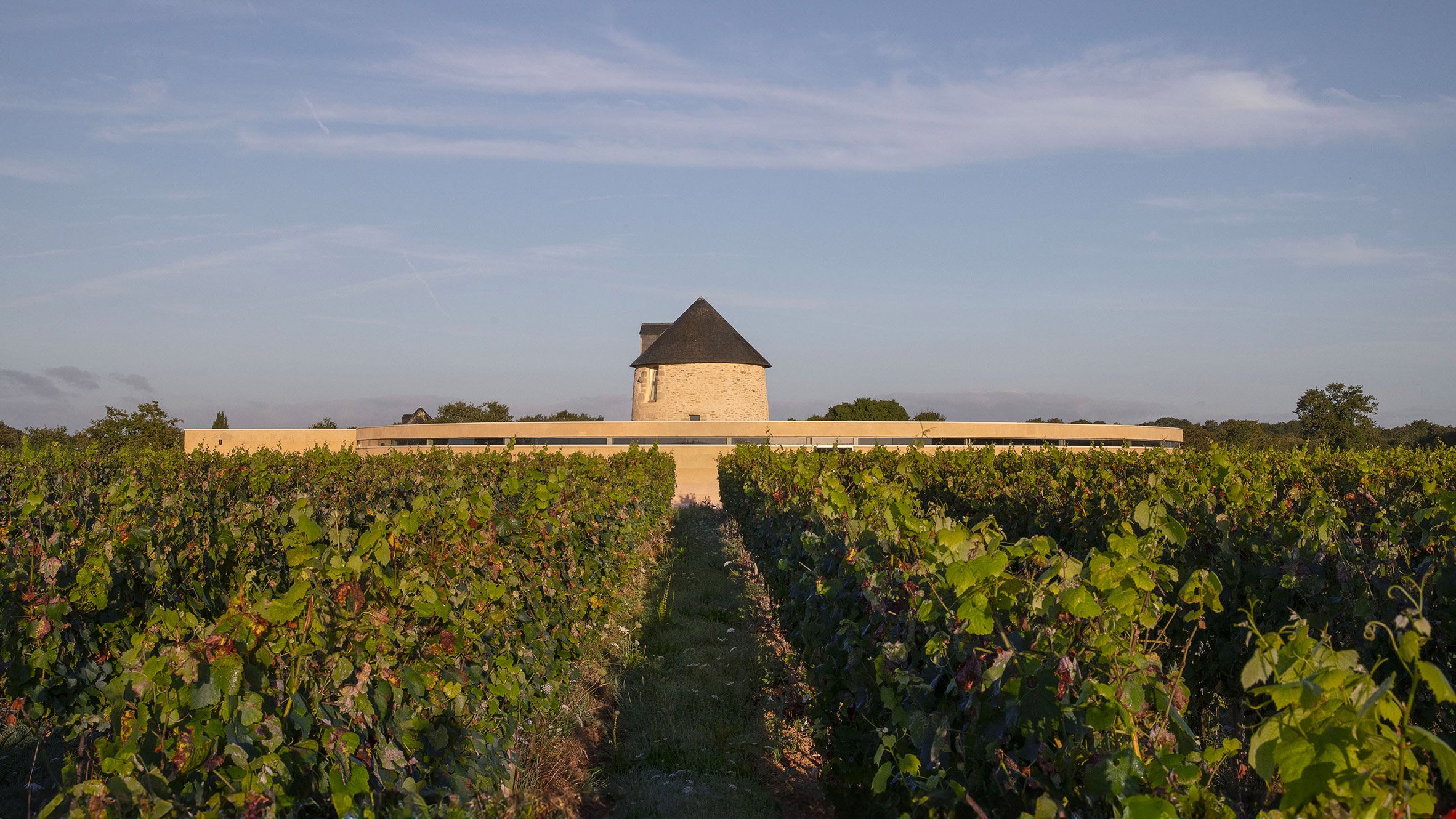 Wine Storehouse 酒窖丨法国丨Carmen Maurice Architecture-0