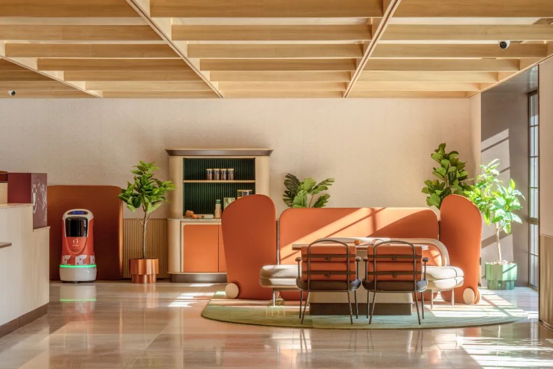 桔子 | 上新！-37