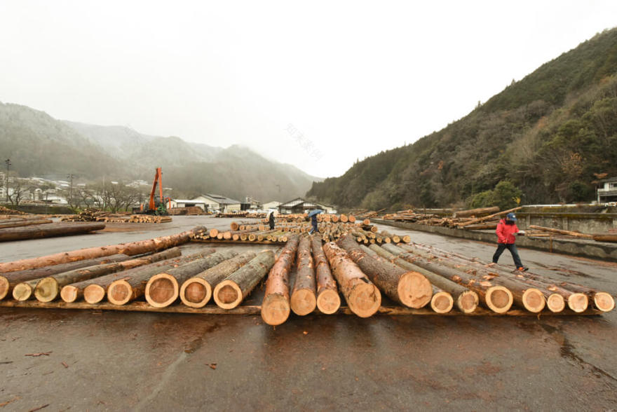 風の森の土壁4 建筑士市场买木材用于设计项目丨水野设计室-5