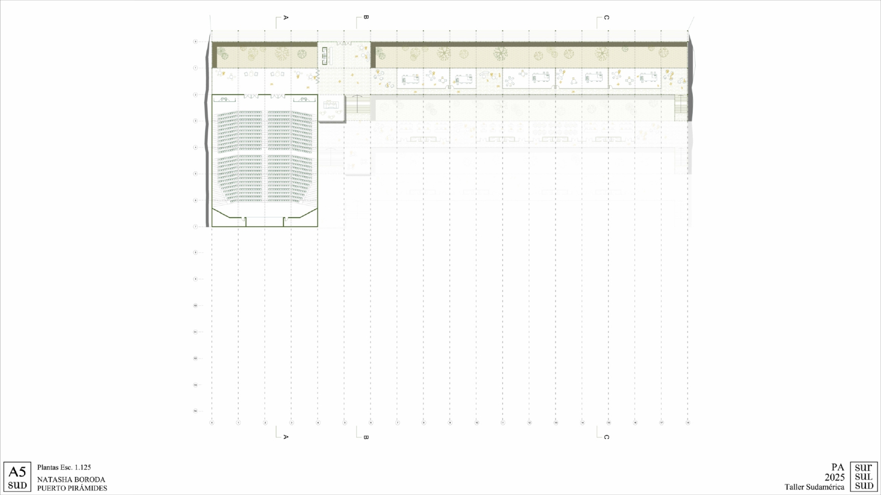 Puerto Pirámide | Centro de Investigacion-14