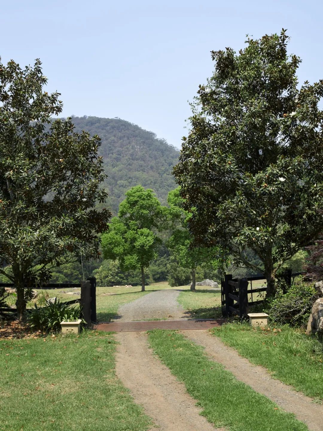 悉尼Upper North Shore住宅丨澳大利亚悉尼丨Phoebe Nicol Studio-139