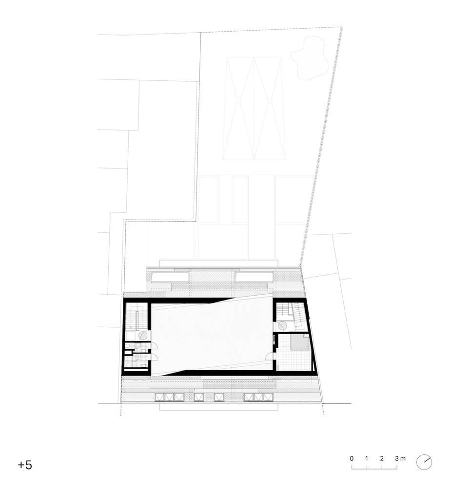 比利时秃头学校-38