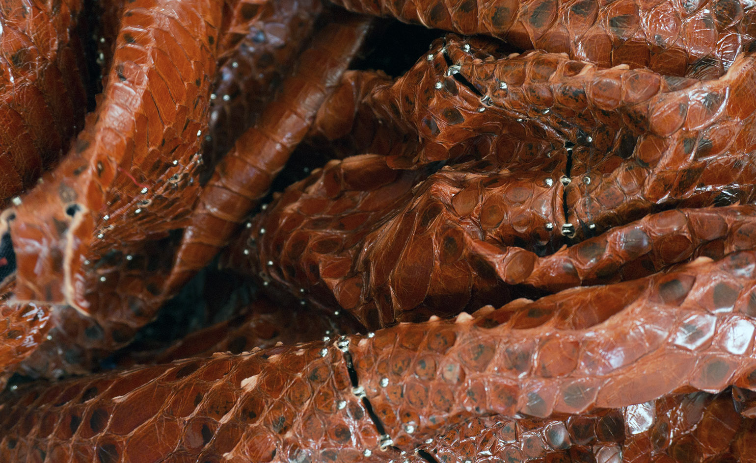 温特沃思的摄影故事 | 揭秘阿拉伊亚时装屋的幕后世界-10