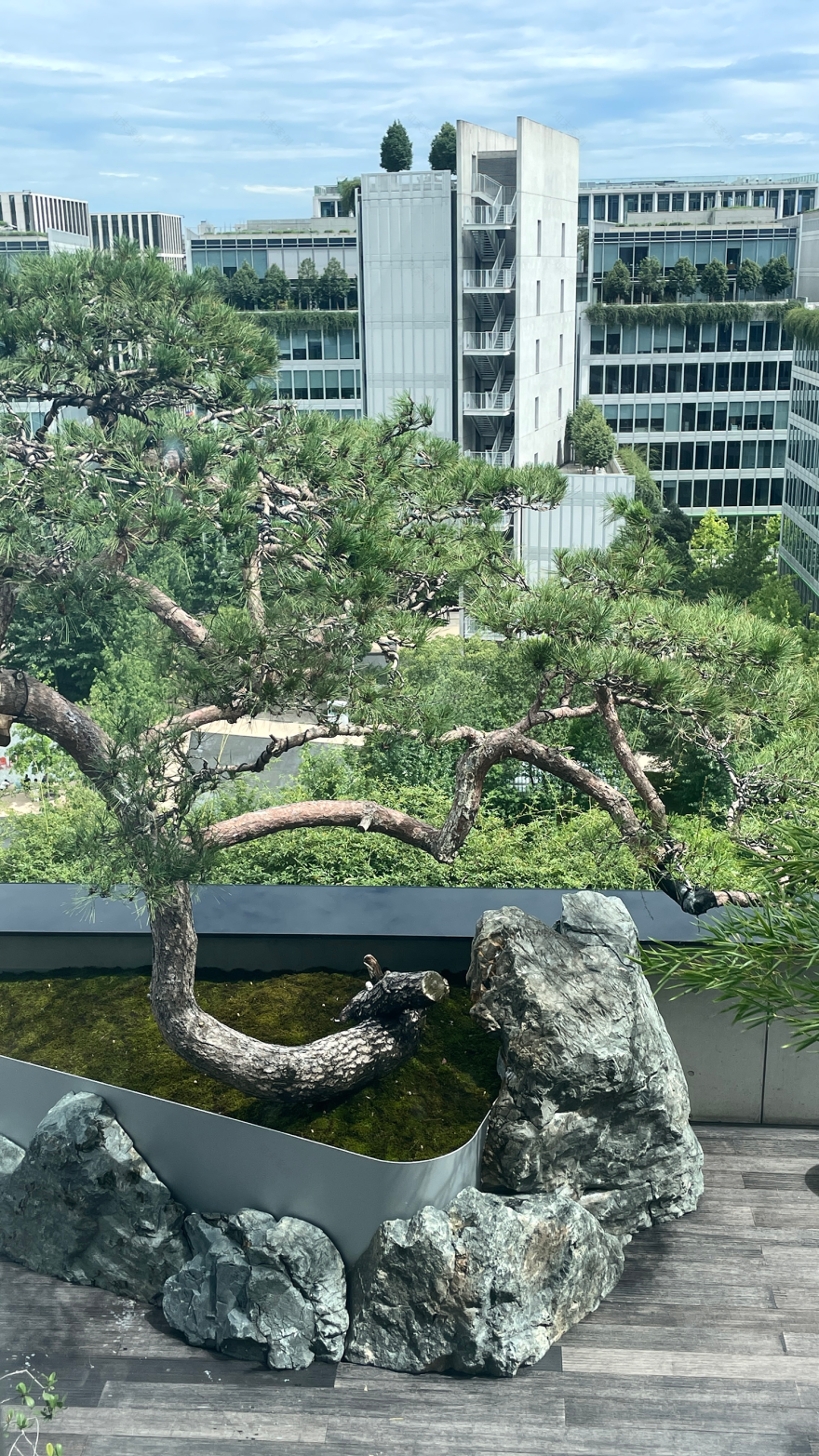 天目里·青竺茶局丨中国杭州丨山山园林(景观及室内方案),三嘉设计(室内深化)-27