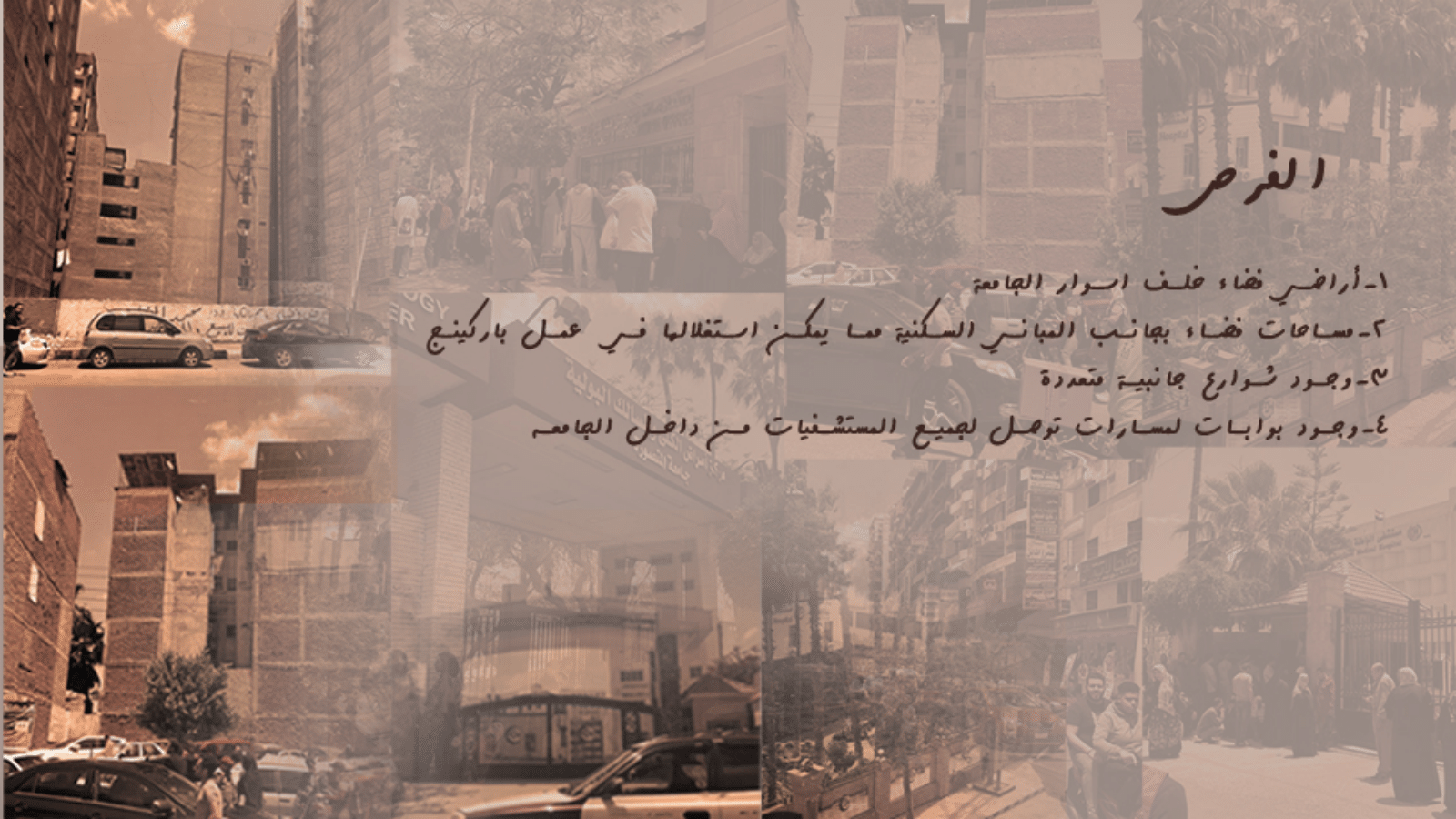 حكاية تطوير | تطوير شارعي جيهان والمشاية بالمنصورة.-20