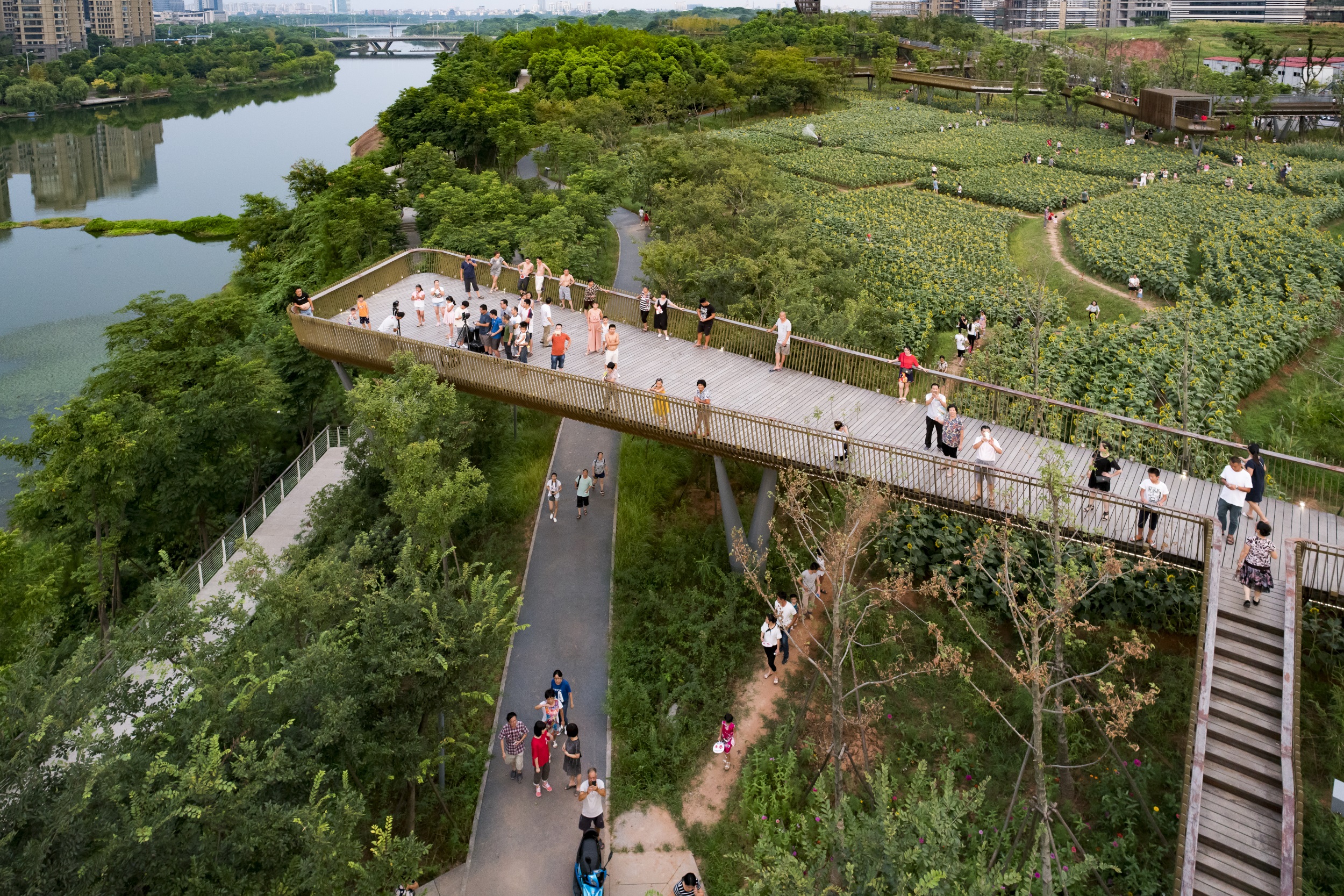 西安雁南公园（二期）丨中国西安丨土人设计（Turenscape）-55