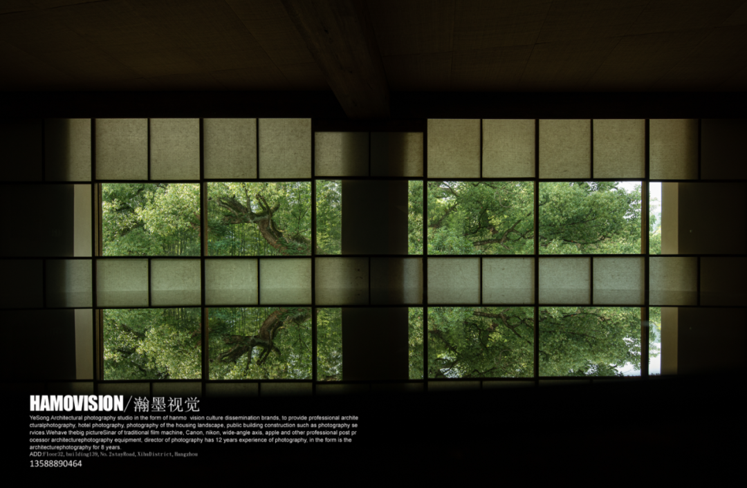 千年樟树下的茶室 · 沈墨设计的古堰画乡茶空间丨中国丽水丨杭州时上建筑空间设计事务所-65