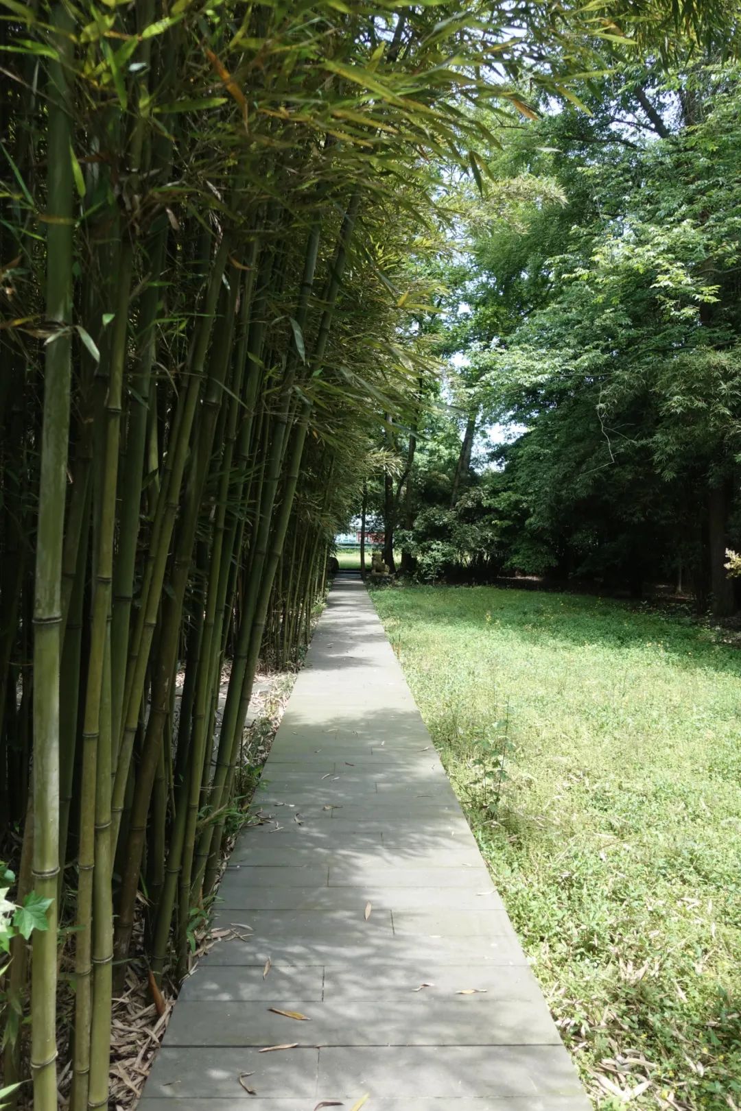 鹿野苑，经验与体验之间丨碎片笔记-39