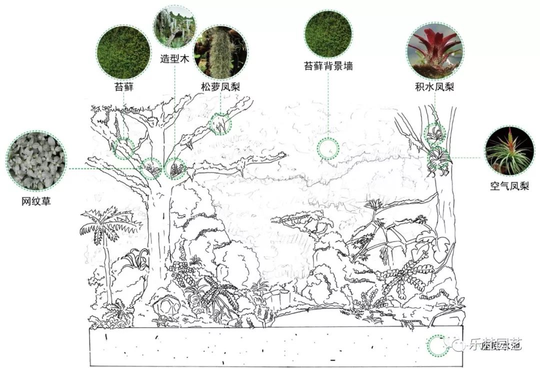 乐梵雨林体验馆 | 绿野仙踪般的室内生态之旅-155