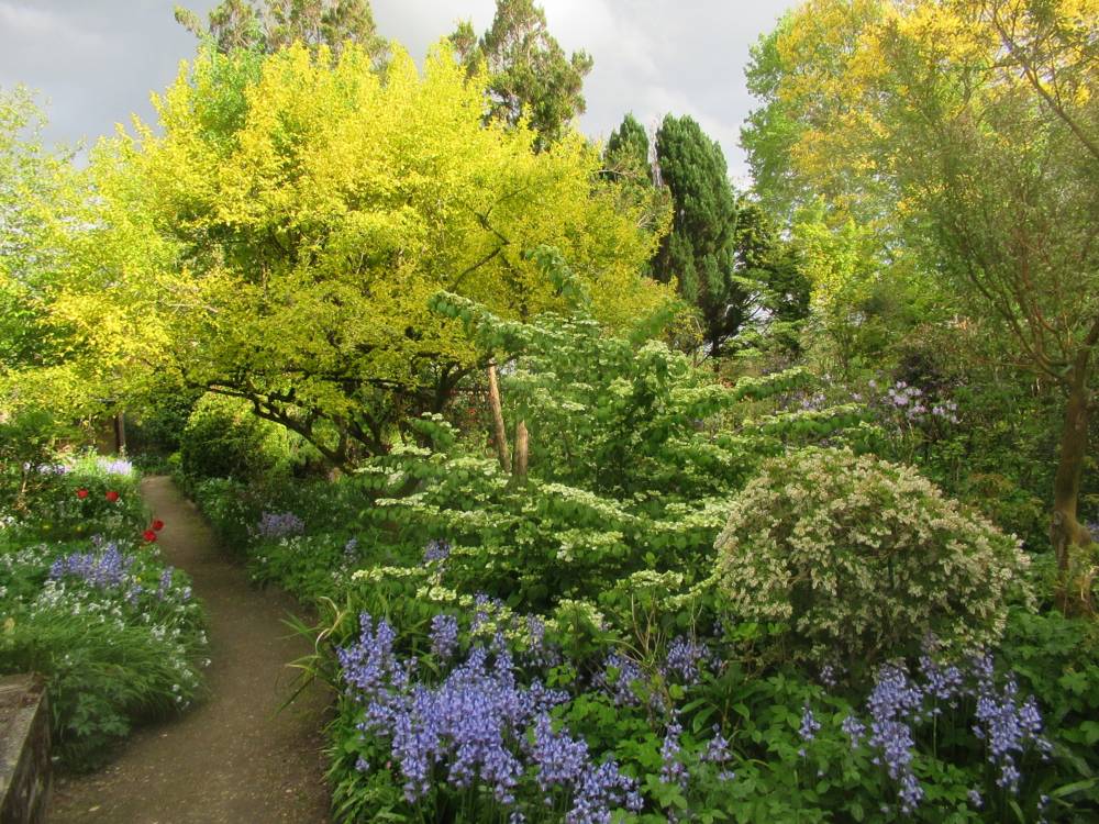 Jardin Botanique de La Petite Rochelle (61)-13
