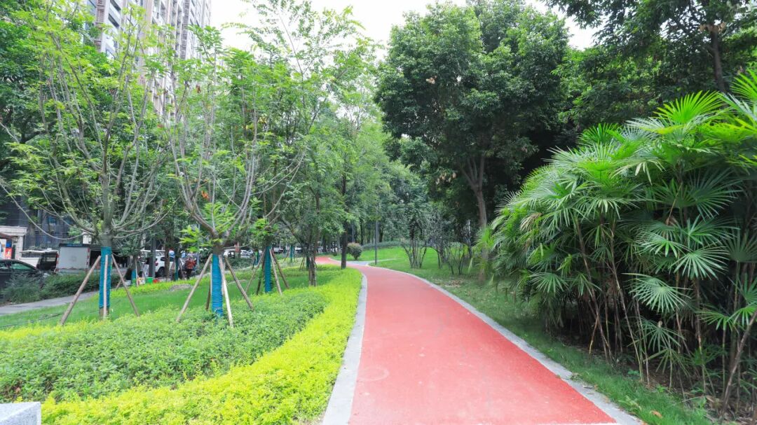 拆围开放！集团三公司助力打造“慢行+生态+健康”幸福生活圈-20