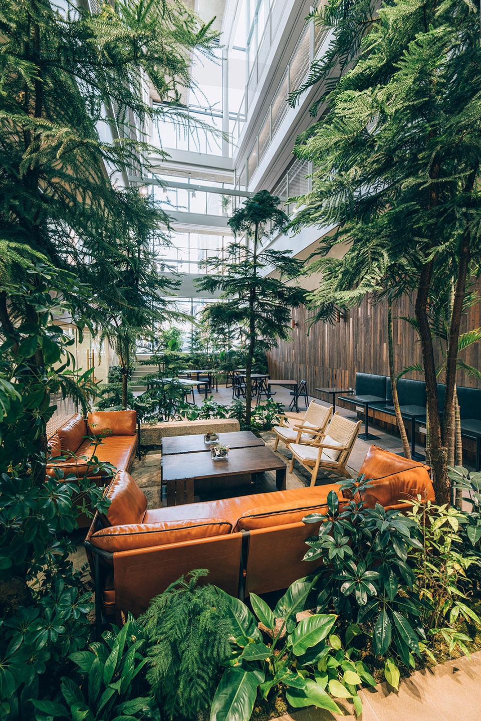 Treehouse 青年共享公寓丨韩国首尔丨Boda Architecture-23