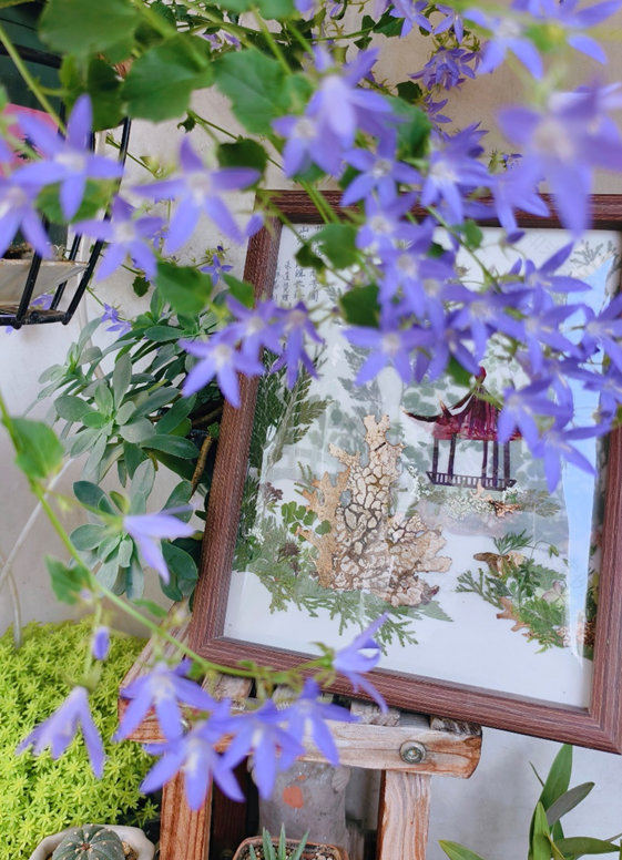 园林文化|三十载园林情缘——中国“友宁园”-23