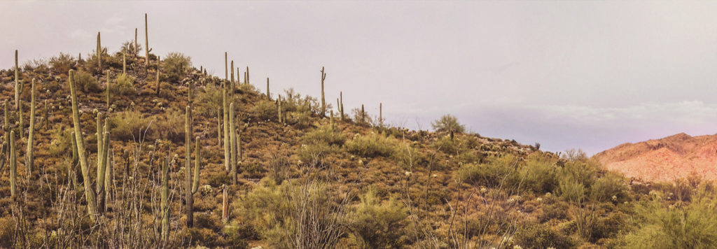 丨美国亚利桑那丨Wendell Burnette Architects-25