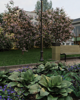 Концепция благоустройства общественного пространства