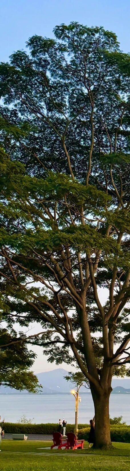 OESD × 深业·上林苑会所丨OE设计团队(欧镱设计)-4