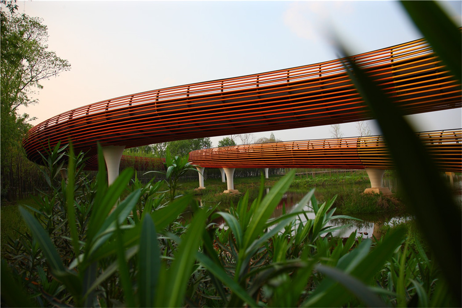 西安雁南公园（二期）丨中国西安丨土人设计（Turenscape）-262