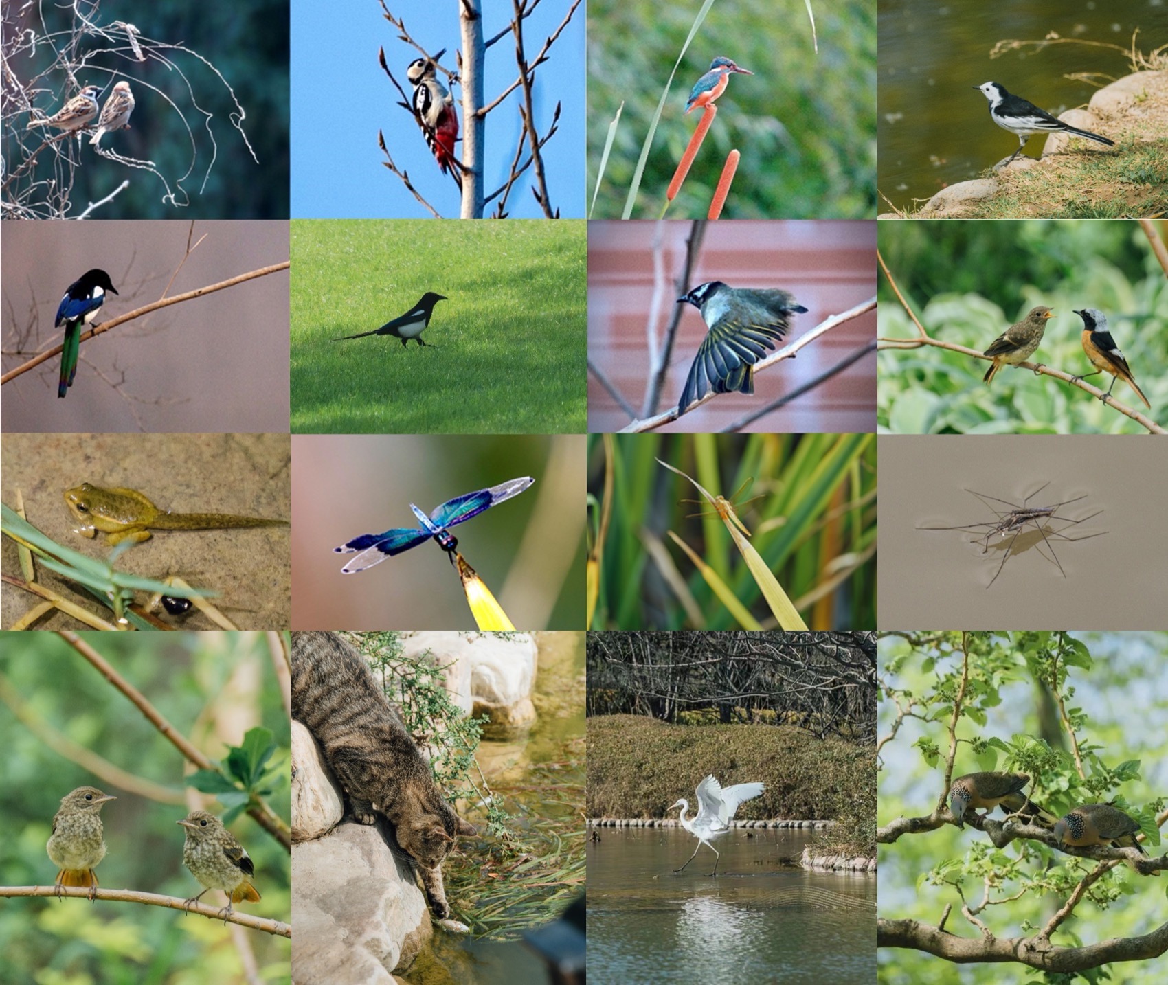 生态西川 · 郑州公园的绿色复兴丨中国郑州丨翰祥景观-131