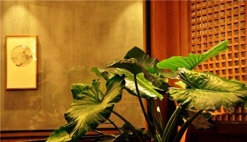 上海毛铺餐厅-43