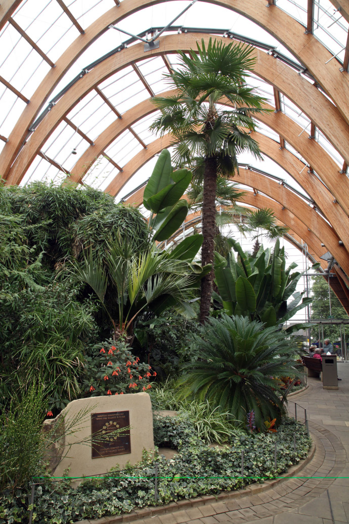 谢菲尔德冬季花园丨英国谢菲尔德丨Weddles-11