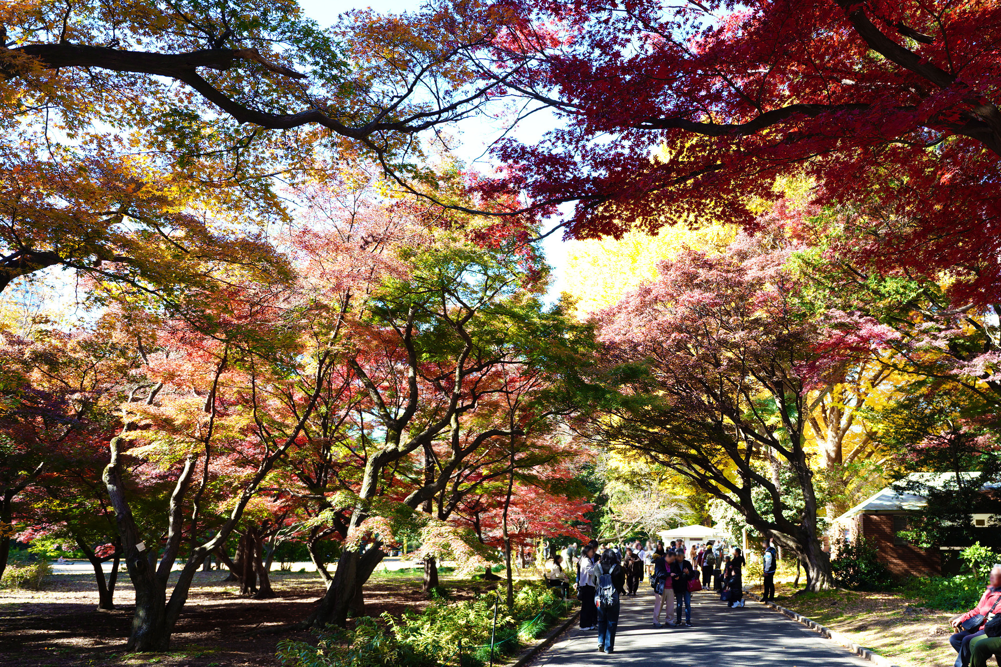 东京俱乐部会所丨日本东京丨Tan Yamanouchi & AWGL-12