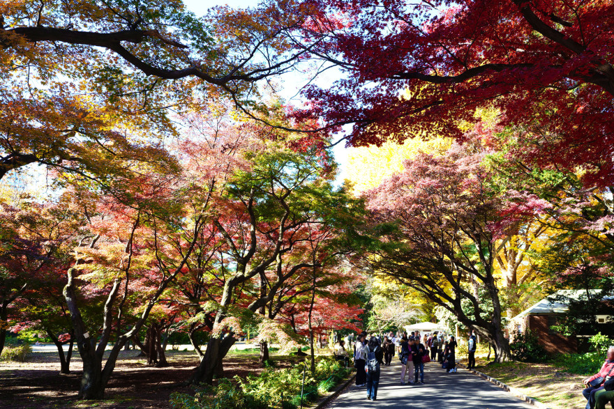 东京俱乐部会所丨日本东京丨Tan Yamanouchi & AWGL-12